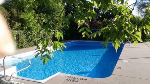 Seasonal outdoor pool, sun loungers