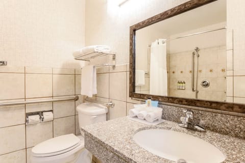 Combined shower/tub, free toiletries, hair dryer, towels