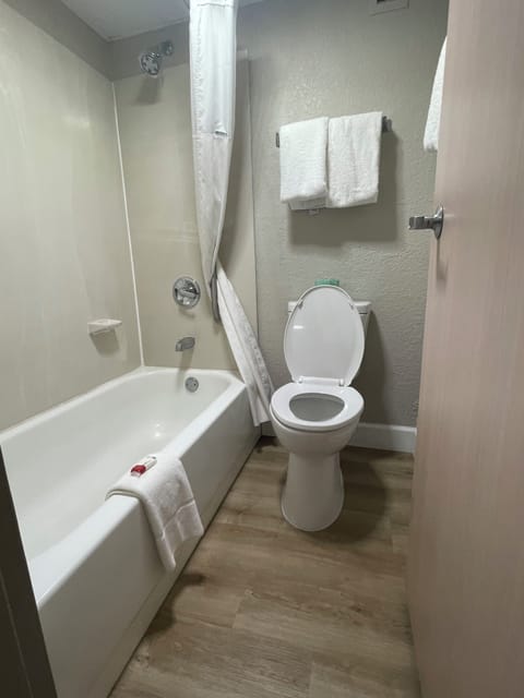 Room, 1 King Bed, Non Smoking | Bathroom | Combined shower/tub, free toiletries, hair dryer, towels