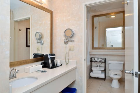 Deluxe Room, 1 King Bed, Refrigerator, Courtyard Area | Bathroom | Combined shower/tub, free toiletries, hair dryer, towels