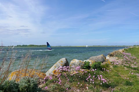 Immediate Surroundings [summer] (&lt;1 km)