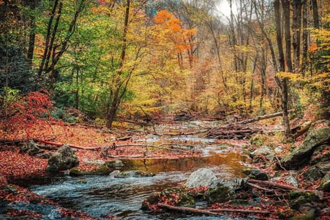 Take in one of the amazing hikes along the river