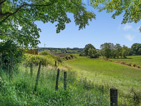 Surrounding area | Sheep Shed - Gaer Cottages, Cribyn, Lampeter