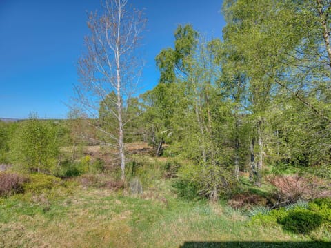 Washing Machine, Clothes Dryer, Laundry Room, Major Appliance, Laundry, Interior Design, Home Appliance, Flooring, Floor, Kitchen Appliance