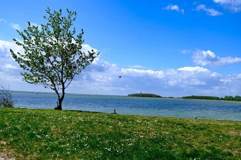 Immediate Surroundings [summer] (&lt;1 km)