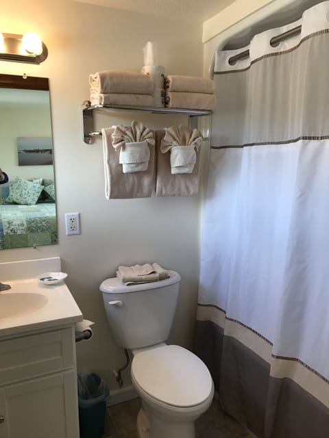 Garden View Motel Room | Bathroom | Combined shower/tub, hair dryer, towels