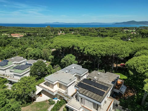 Furniture, Table, Outdoor Table, Outdoor Furniture, Chair, Garden, Shade, Flowerpot, Landscaping, Kitchen & Dining Room Table