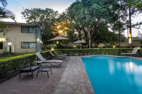 Outdoor pool, sun loungers