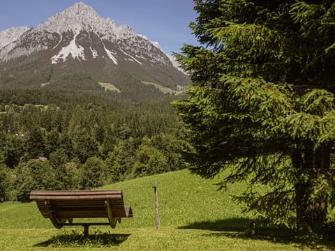 Mountainous Landforms, Mountain, Tree, Hill, Natural Landscape, Mountain Range, Highland, Wilderness, Landscape, Hill Station