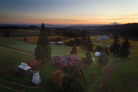 Bell Road Farmhouse. Nestled in the vines with Mountain views
