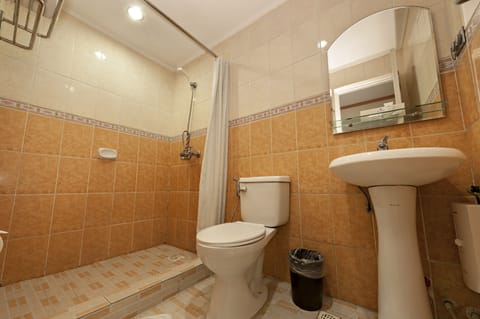 Shower, free toiletries, bidet, towels