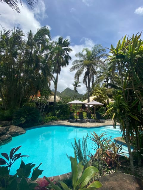 Outdoor pool, pool umbrellas, sun loungers