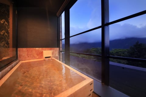 Standard Twin Room, Multiple Beds, Private Bathroom, Mountain View | View from room