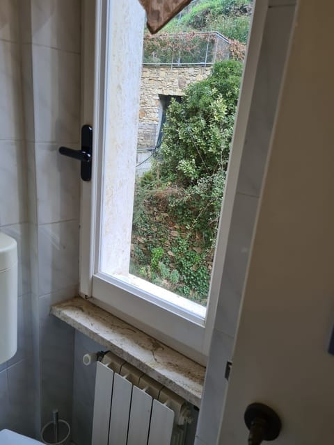 Double Room, Mountain View | Bathroom | Shower, hair dryer, towels, soap