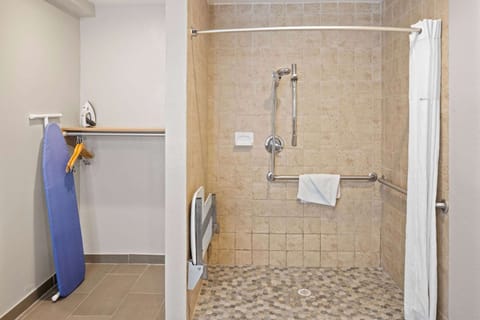 Room, 1 King Bed, Accessible, Non Smoking (Roll-In Shower) | Accessible bathroom