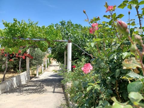 House, Smoking | 2 bedrooms