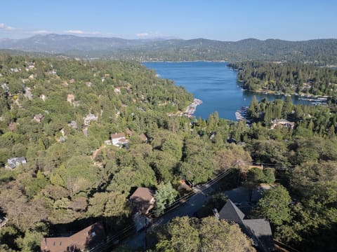 Aerial view of the lake and its neighborhood.