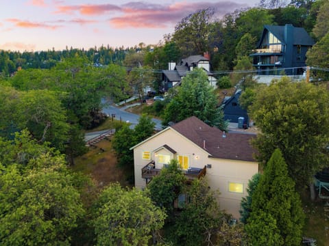 Aerial view of the neighborhood.