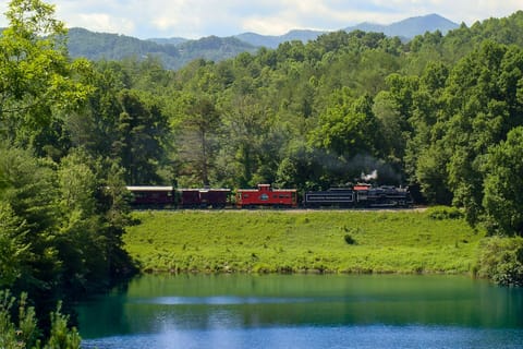 the historic GSMR steam engine passes by on a sightseeing tour.