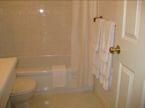 Combined shower/tub, hair dryer, towels