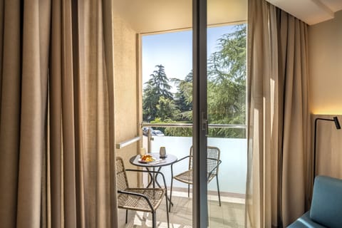 Superior double room with balcony | View from room