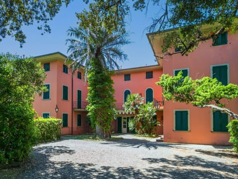 Estate, Hacienda, Garden, Yard, Shade, Landscaping, Driveway, Lawn, Villa