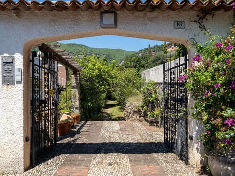 Shrub, Landscape, Garden, Flagstone, Landscaping, Hacienda, Walkway, Botanical Garden, Courtyard