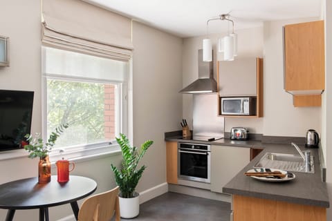 Studio Apartment | Private kitchen | Fridge, microwave, oven, stovetop