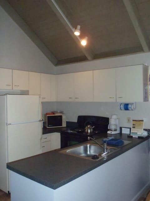 Chalet, Multiple Beds, 2 Bathrooms | Private kitchen | Fridge, microwave, stovetop, dishwasher