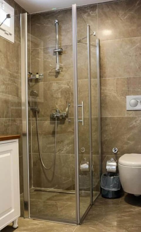 Hair dryer, soap, shampoo, toilet paper