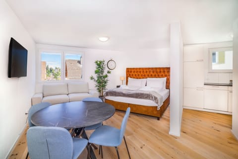 Elegant Studio 35m2 | Living area | 55-inch Smart TV with digital channels, heated floors