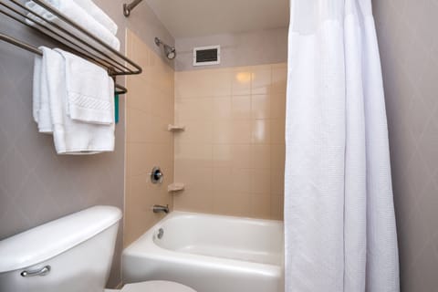 Combined shower/tub, free toiletries, hair dryer, towels