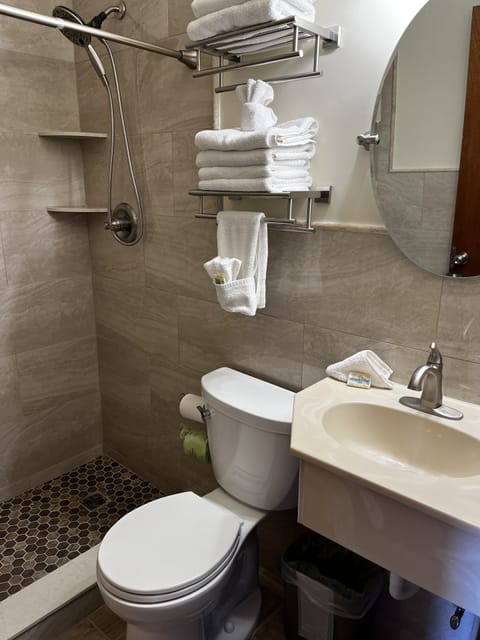 Deluxe Suite, Pool View (Type 6) | Bathroom | Free toiletries, hair dryer, towels