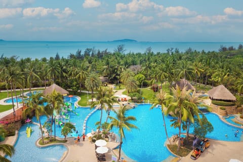 Outdoor pool, sun loungers