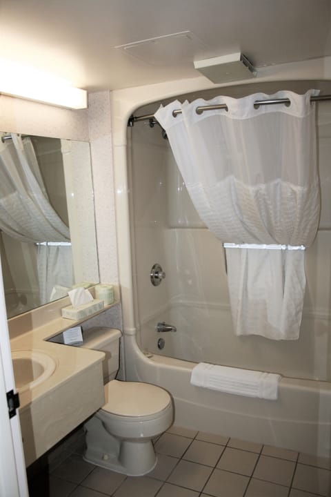 Combined shower/tub, eco-friendly toiletries, hair dryer, towels