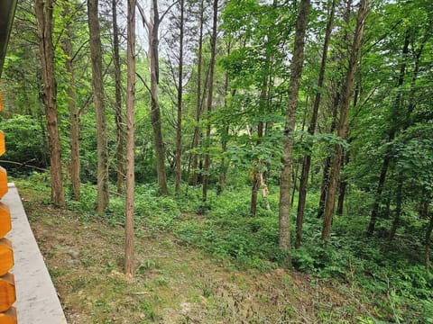 922375be-b2e6-4a12-9ea9-90c32b16d063