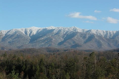 566lBsfiaKjXB-20210425182806