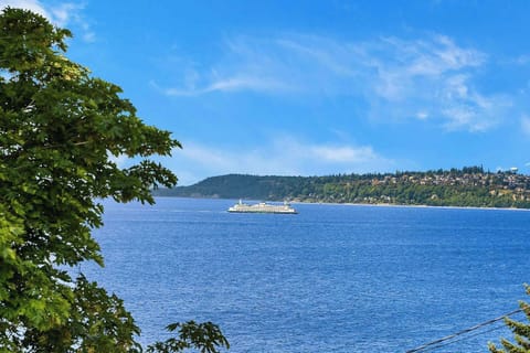 Relax to views of ferries crossing the blue harbor, framed by leafy branches and distant hillside homes.