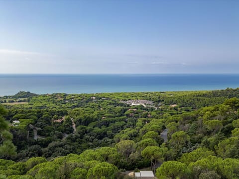 Home, Roof, Cottage, Siding, Estate, Sash Window, Hardwood, Driveway, Porch, Deck