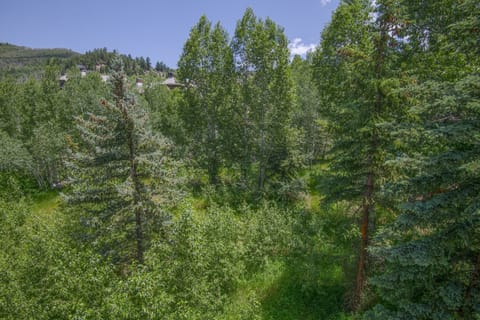 Condo, 2 Bedrooms | Miscellaneous