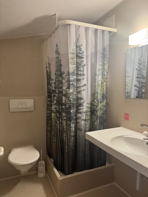 Towels, soap, shampoo, toilet paper