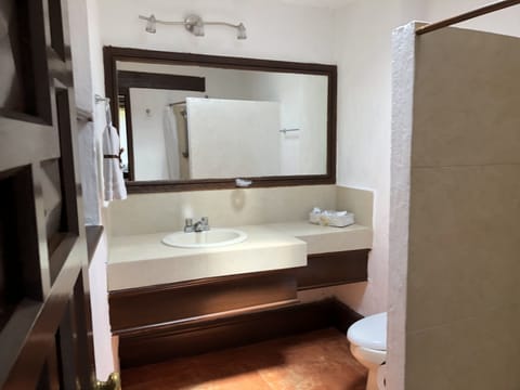 Standard Double Room, 1 King Bed | Bathroom | Shower, free toiletries, hair dryer, towels