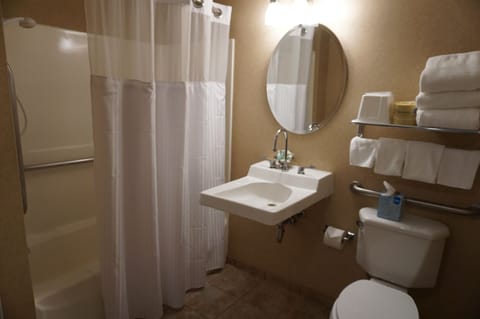 Standard Room, 1 King Bed, Non Smoking | Bathroom | Free toiletries, hair dryer, towels