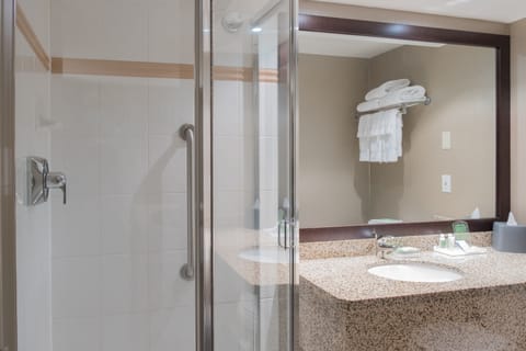 Suite, 1 Queen Bed | Bathroom | Free toiletries, hair dryer, towels