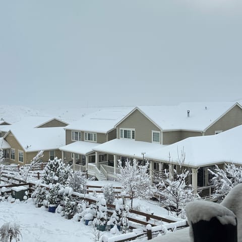 Snowy day view from back deck