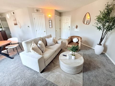 Comfortable, functional yet well designed living room space with working fireplace. 
