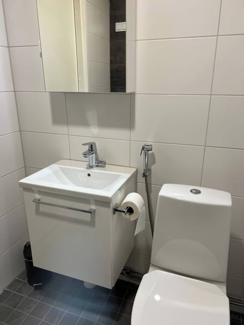 Apartment, 1 Bedroom, Accessible | Bathroom