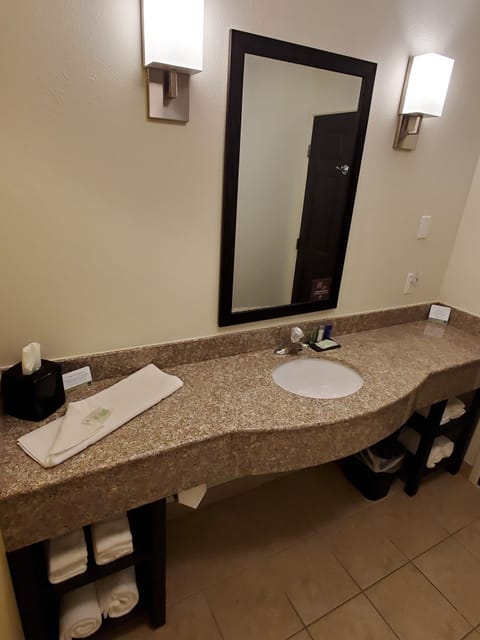 Suite, 1 King Bed, Non Smoking | Bathroom | Free toiletries, hair dryer, towels, soap