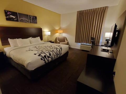 Standard Room, 1 King Bed, Non Smoking | Desk, blackout drapes, iron/ironing board, free WiFi