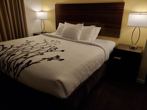 Suite, 1 King Bed, Non Smoking | Desk, blackout drapes, iron/ironing board, free WiFi